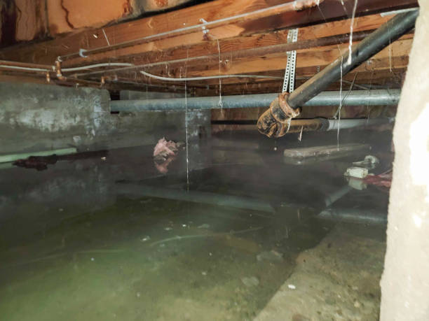 Fire Damage Restoration in WI