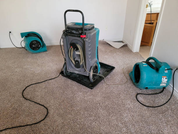 Best 24-hour water damage restoration  in Stevens Point, WI