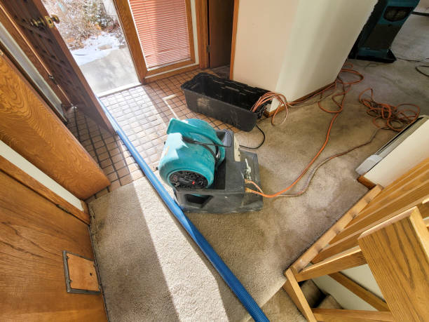 Best Commercial water damage restoration  in Stevens Point, WI