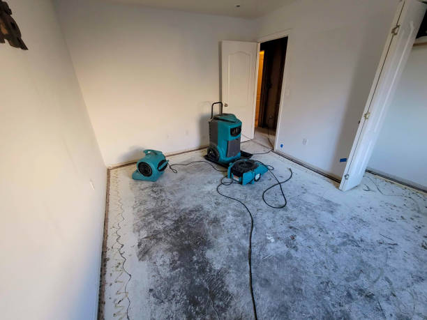 Best Ceiling water damage repair  in Stevens Point, WI