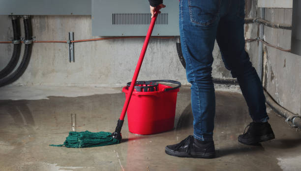 Best Professional water damage repair  in Stevens Point, WI