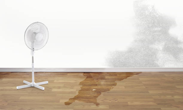 Best Water damage restoration near me  in Stevens Point, WI