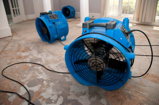 Best Emergency water damage restoration  in Stevens Point, WI