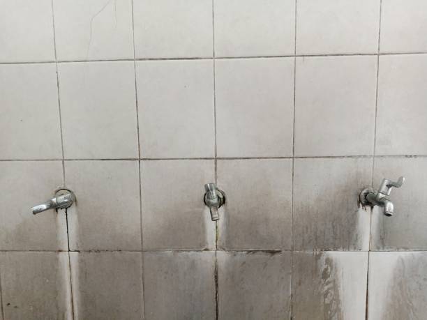 Best 24/7 water damage repair  in Stevens Point, WI
