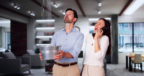 Best Flood damage cleanup  in Stevens Point, WI