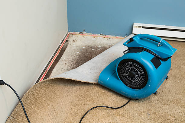  Stevens Point, WI Water damage restoration Pros